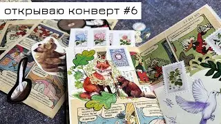 Конверт #6: открываю конверт и делаю коллаж