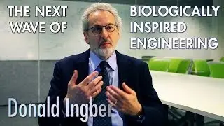 Donald Ingber - Biologically Inspired Engineering - Organs on a Chip!