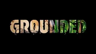 Какой fps в игре Grounded