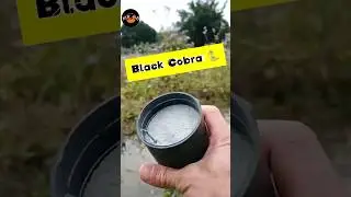 Black Big Bomb (BBB) 💥#mrboombaam #firecrackers #fireworks #shorts