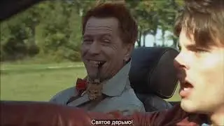 Where is you sexual begening?
