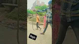 Nagin sap