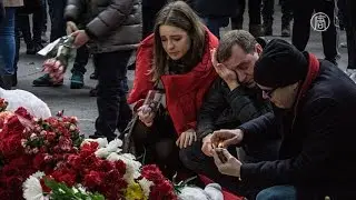 Авиакатастрофа в Египте: тела доставили в Россию (новости)