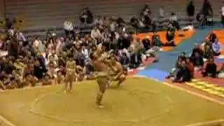 Sumo Kids