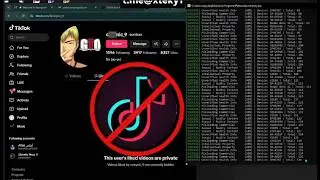 Tiktok report 2026 ban tool