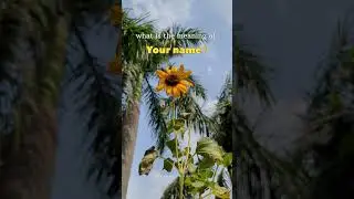 Your Name ?? Meaning  #shorts #viral