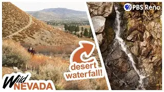 this desert trail has a secret waterfall | Kings Canyon | Wild Nevada