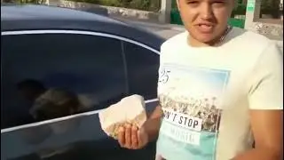 IDIOTS WITH BMW #2