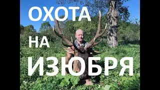 Охота на изюбря. R93 300WM, IWT Deer hunting (izyubr)