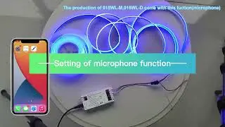 GLEDOPTO New WLED Digital RGB IC Controller with Easy Wiring