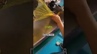 Фермер удивил покупателей креативной упаковкой яблок 🍏