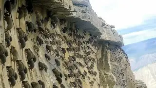 Они Существуют! Это Видео Невозможно Объяснить! Случаи Снятые На камеру