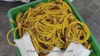 What are the differences in performance between different types of network cables?