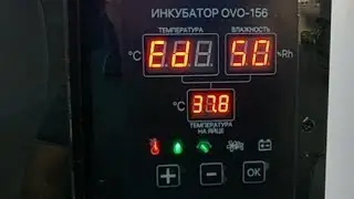 Инкубатор OVO 156, гарантийный ремонт.