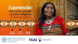 Experiencias entre sector privado y pueblos indígenas en América Latina