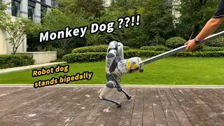 A Cyber "Monkey" Dog?!