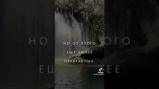 Что такое счастье #музыка #счастье