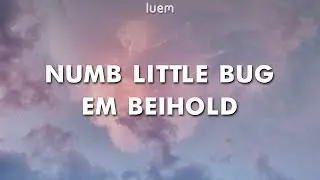 Em Beihold - Numb Little Bug (Lyrics) | Luem
