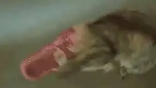 Один на один