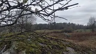 16 декабря 2019 г.