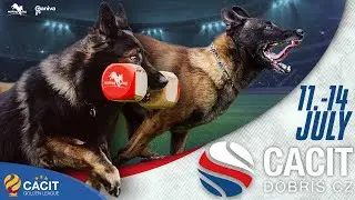 Winner / CACIT Dobris 2024/ Paul Rössing / working-dog Fiffi  / working-dog