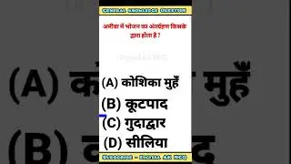 General knowledge question answer #shorts gk quiz in hindi