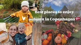 Autumn in Copenhagen🇩🇰🍁Best places to visit 🍂Day in the Zoo, Kids Activites & Home Hygge🎃