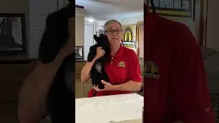 How to Control German Shepherd Puppy Biting with German Shepherd Man #germanshepherdpuppytraining