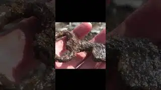 Нашел старинный ключ от сундука где деньги лежат! Поиск клада с металлоискателем! shorts video