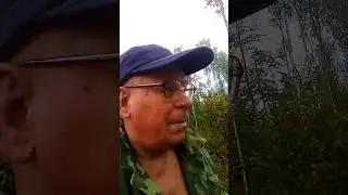 Собираем опята 15 сентября 2023 года