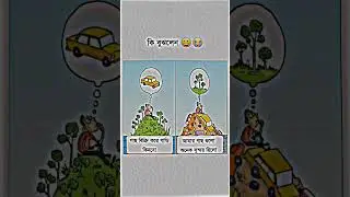 কোনটা ভালো ছিলো?