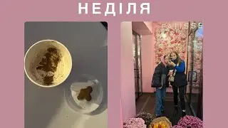 | Квадробери | ревізія нового SINSAY | наші покупки 🛍️💓