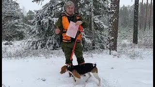 Hunt 