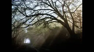 Edith Pijpers - Through
