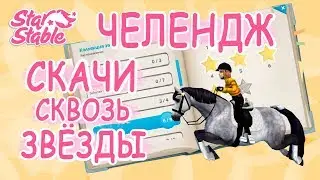 НОВЫЙ ЧЕЛЕДЖ 