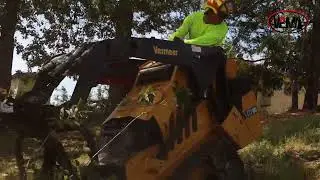 Vema Tree Service 5 star company in Sonoma county