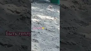 Верить ли приметам🤔