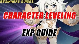 How many characters should you level + EXP Guide - Genshin Impact | Beginners Guide  |