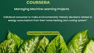 managing machine learning projects coursera