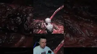 Мысли за кадром VISAGE
