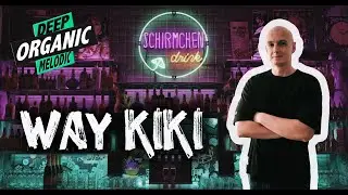 Organic, Deep & Progressive House Mix | Way Kiki - Baltic Porter | 1-Hour Schirmchendrink 4K Vibes