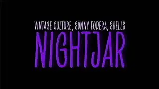 Vintage Culture, Sonny Fodera Feat  SHELLS  - Nightjar Extended Mix