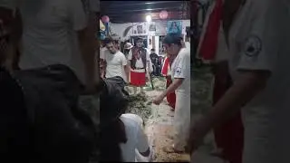 Olha que beleza - Boiadeiros