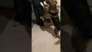 Хочешь одна пойти? Не надо, я тебя не пущу🤪😂