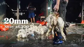 Street Photography POV at Sepanjang Local Market - Sony A6400