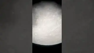 Bottom bit and I almost got the rear end 🤣