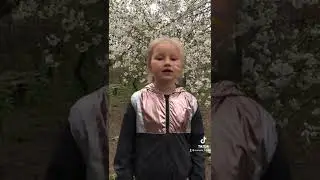 Садок вишневий коло хати Тарас Шевченко