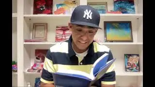 Wishtree Chapter 12 and 13
