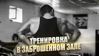 ДЕНЬ ЖИМА В ЗАЛЕ МЕЧТЫ