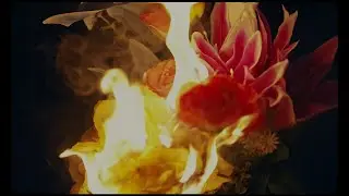 txopet - HASIERATIK AMAIERA [bideo ofiziala]